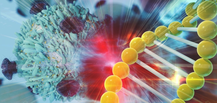 Ricerca. Con l’avanzare dell’età si moltiplicano i rischi del cancro