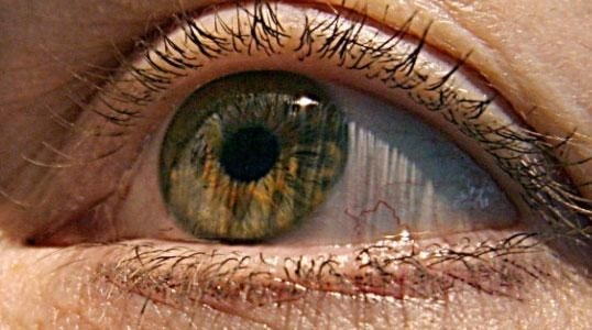 Ricerca. Rigenerazione delle cellule dell’occhio: scoperte spie di allarme