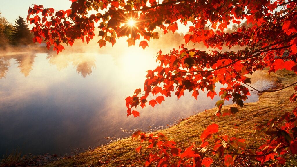 L’autunno del cuore