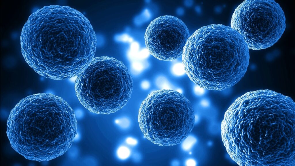 Ricerca. Nanoparticelle, una cura per il “cancro del legno”