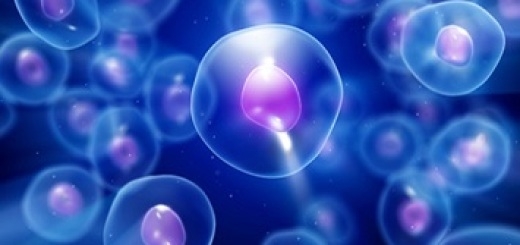 Gastruloidi: una nuova frontiera per la ricerca