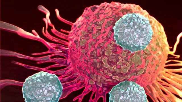 Ricerca. Le cellule cancerose vanno in letargo per sfuggire alla chemioterapia