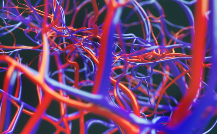 Ricerca. Creare vasi sanguigni con la biostampa 3D