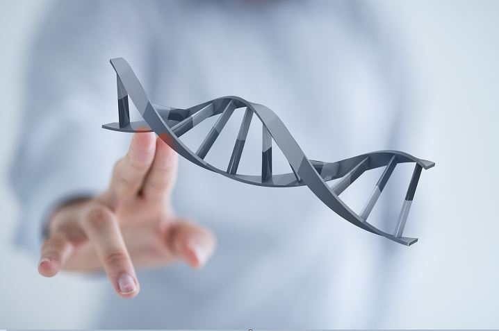 Ricerca. Nuove strategie per combattere il cancro. Nasce il portale BART per i ricercatori