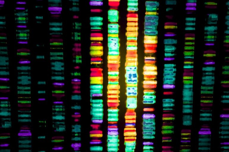 Utilizzare la tecnica di sequenziamento genomico per rilevare la presenza dei microbi