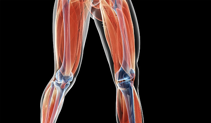 Ricerca. Nuova luce sull’atrofia muscolare spinale