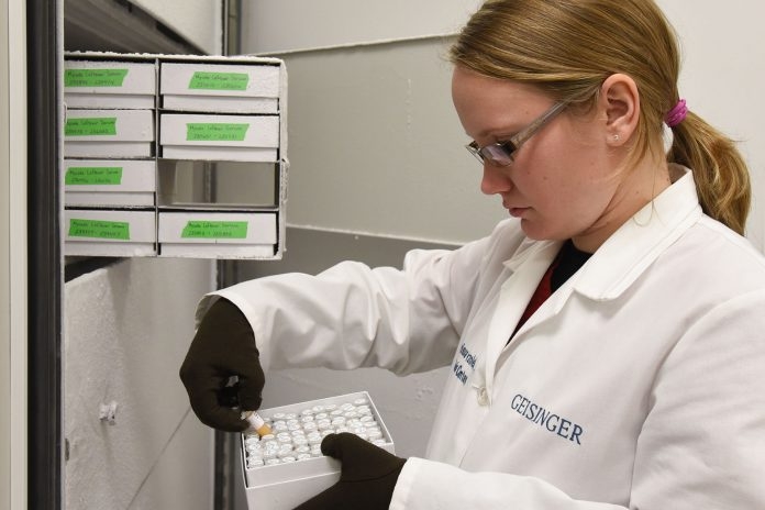 Ricerca. Scoperto un complesso proteico che favorisce la crescita del cancro