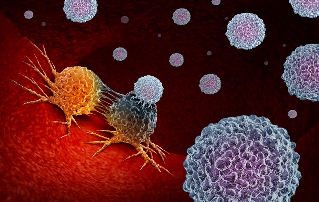 Ricerca. Dall’Università di Torino nuove terapie per bloccare la crescita delle cellule tumorali