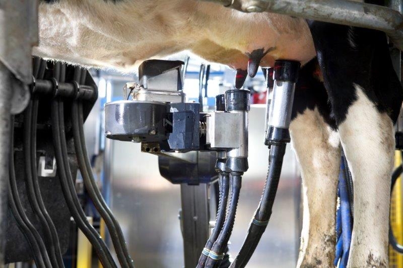 L’agricoltura verso la digitalizzazione dei processi