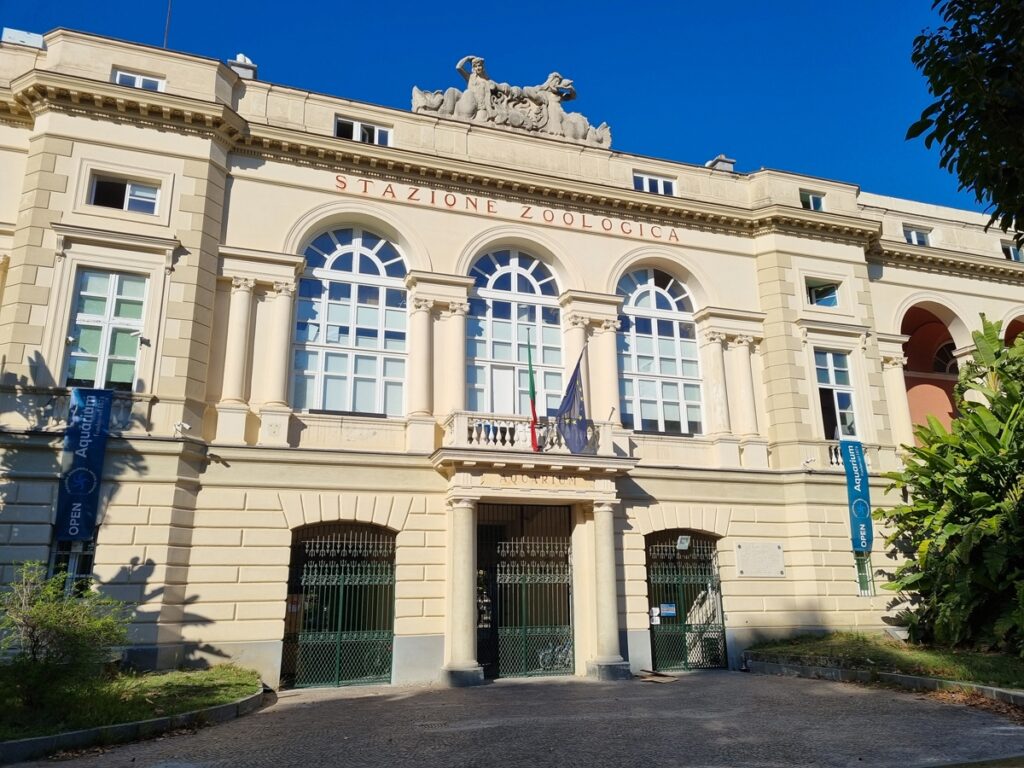 Ricerca scientifica, la Stazione Zoologica Anton Dohrn nella top 10 della biologia marina mondiale