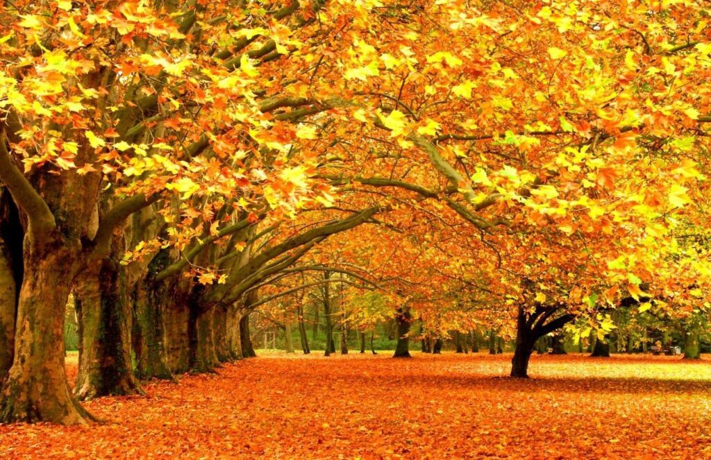 Autunno