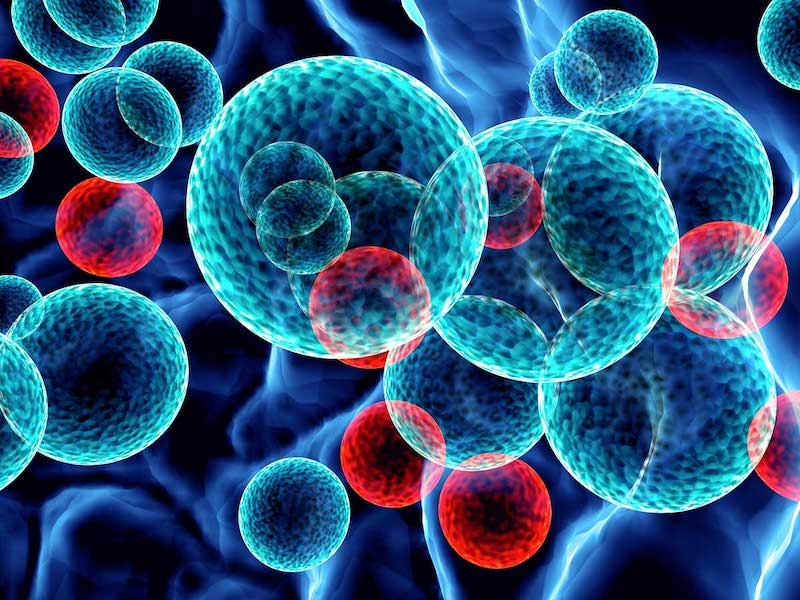 Ricerca. Le nanoparticelle che stimolano il sistema immunitario per vaccini più potenti