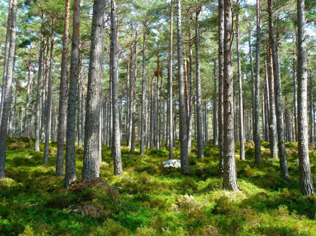 Verso un concetto d’interni ecosostenibili