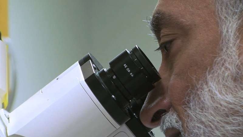 Ricerca. Sla: identificato un nuovo potenziale bersaglio terapeutico