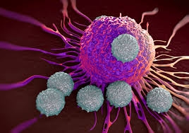 Ricerca. Contro il cancro, le terapie innovative accendono le speranze