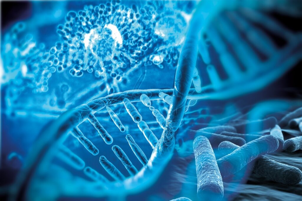 Ricerca. Sindrome di Cornelia de Lange: nuova luce sui processi molecolari