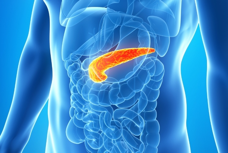 Ricerca. Pancreas artificiale per diabete di tipo 2: l’approccio simbolico