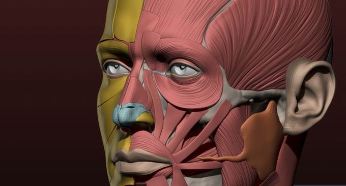 Ricerca. La realtà aumentata potrà aiutare a visualizzare il melanoma metastatico