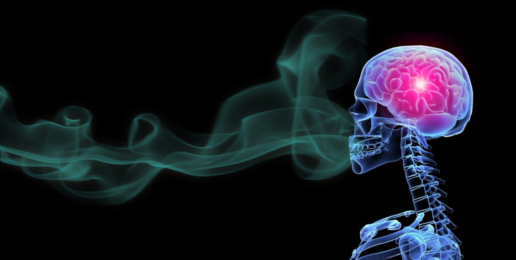 Ricerca. L’olfatto potrebbe svolgere un ruolo chiave nella diffusione del cancro al seno e al cervello