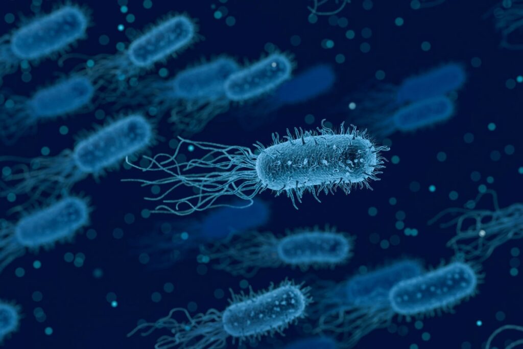 Ricerca. Microorganismi fecali nella laguna di Venezia