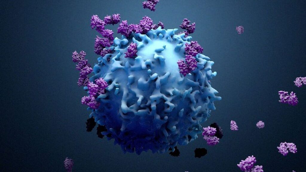 Ricerca. Infezione da Covid: cosa avviene nelle nostre cellule