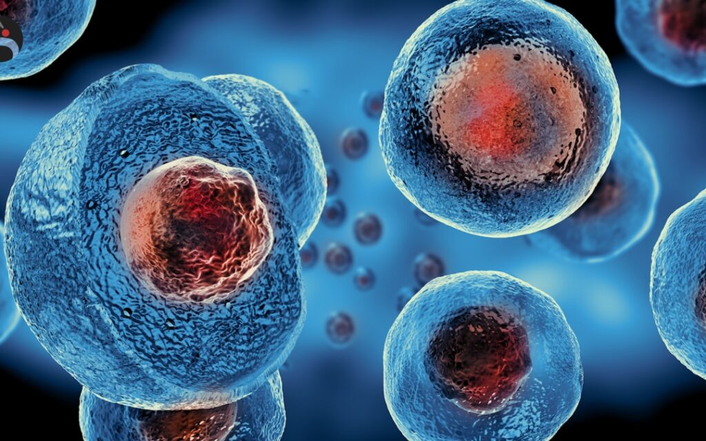 Ricerca. Le cellule staminali per curare il diabete di tipo 1