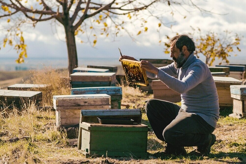 Da vedere  “Il male non esiste”, Orso d’oro  al festival di Berlino 2020
