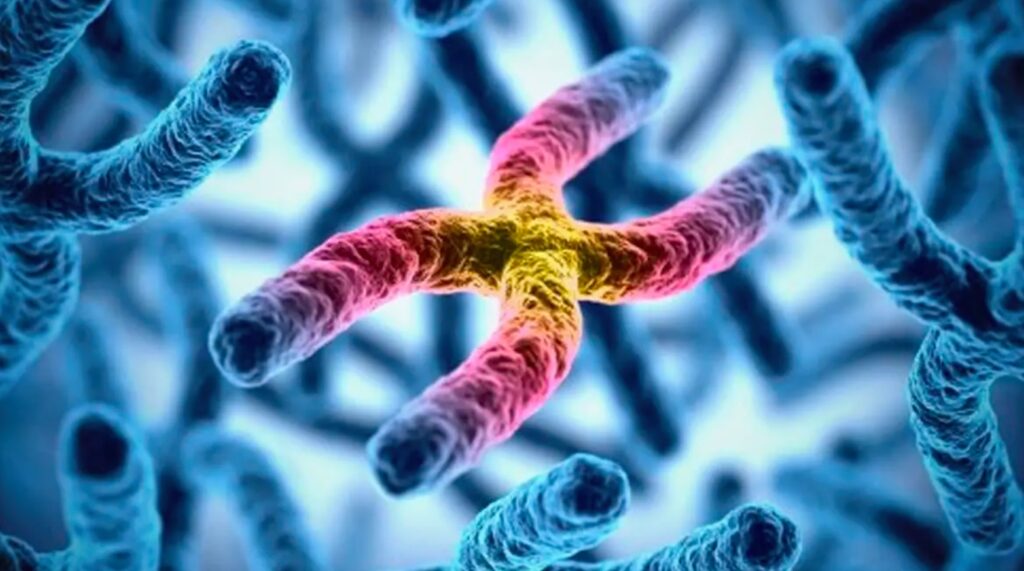 Ricerca. Identificati i difetti molecolari di due patologie neurologiche