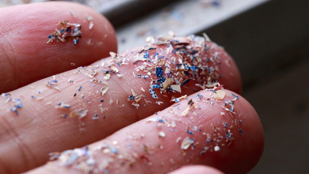 Ricerca. Le microplastiche non sono tutte uguali