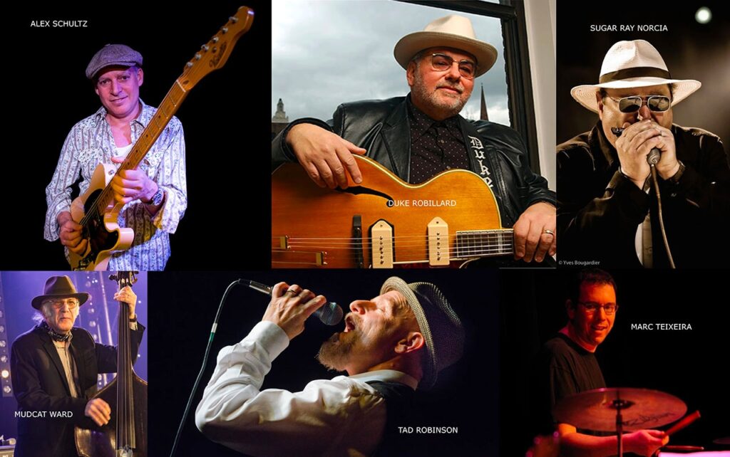 Al via il Piemonte Blues Stop