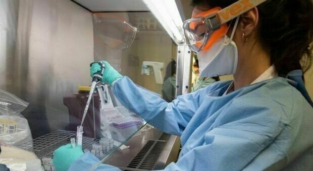 Ricerca. Università di Padova. Scoperti i marcatori della leucemia