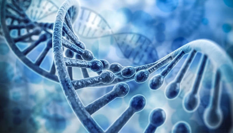 Decodificato per la prima volta l’intero genoma umano