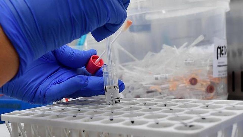 Ricerca. L’Università di Trieste individua nuovo approccio terapeutico contro i tumori