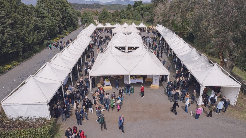 Contrade dell’Etna 2022. In ricordo di Franchetti, masterclass e banchi d’assaggio dei vini etnei