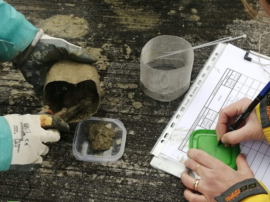 Ricerca. Anche le bioplastiche si degradano lentamente nell’ambiente