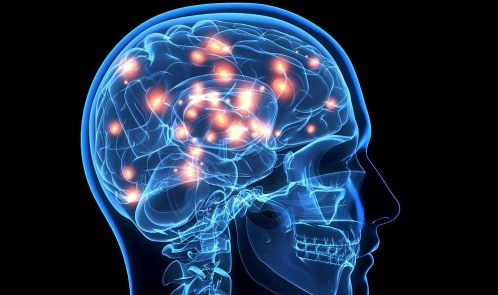 Ricerca. Scoperti meccanismi modulatori nelle trasmissioni sinaptiche