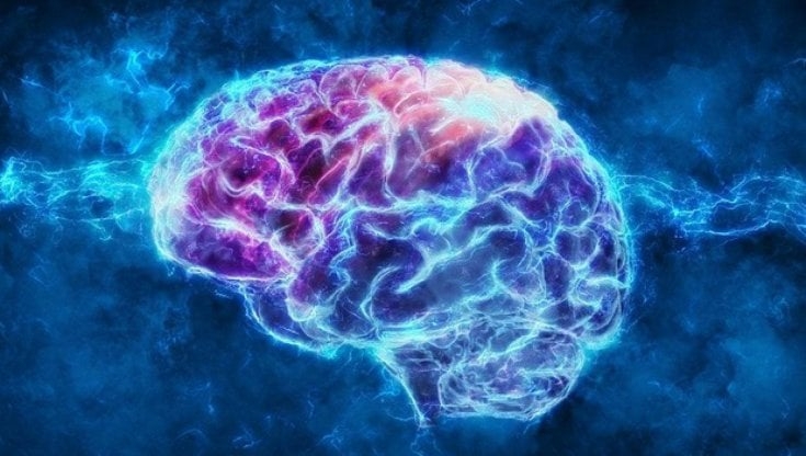 Ricerca. Ecco come Zika danneggia il cervello dei nascituri