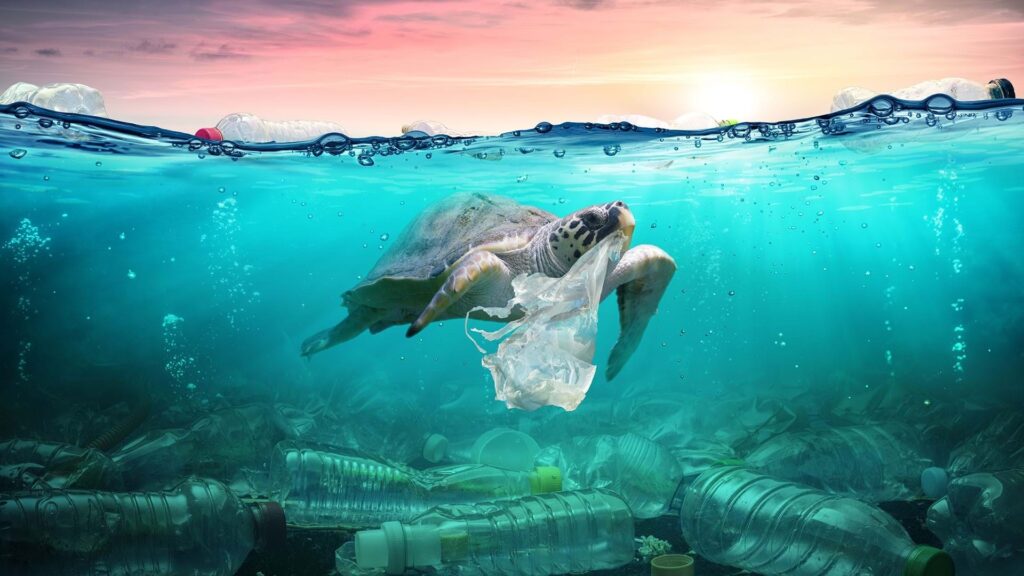 Un app per salvare il mare dalla plastica