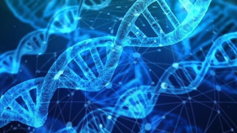 Ricerca. Radiazioni ionizzanti, quando a basse dosi proteggono il DNA