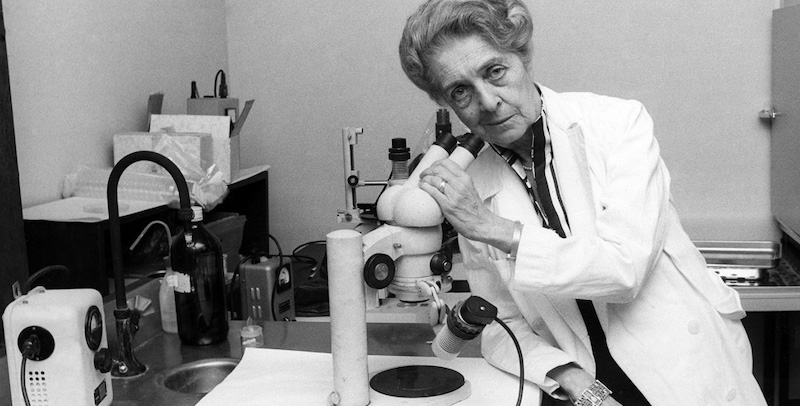 Università. Parte il nuovo bando per il Programma Montalcini