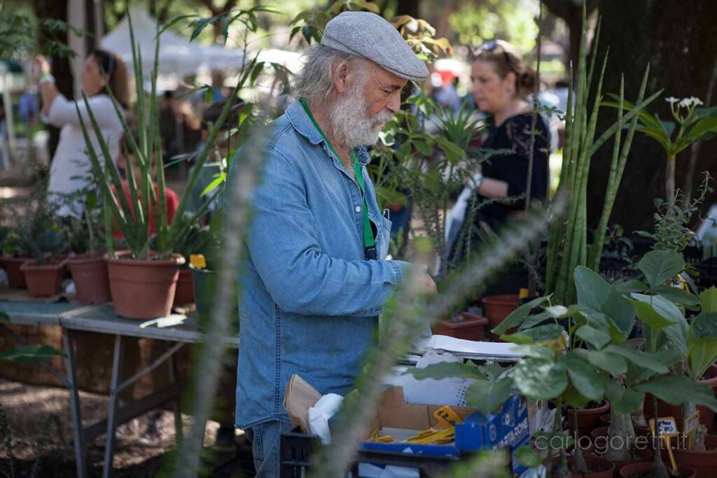 Dal 16 al 18 settembre il Museo Orto Botanico di Roma ospita La Conserva della neve