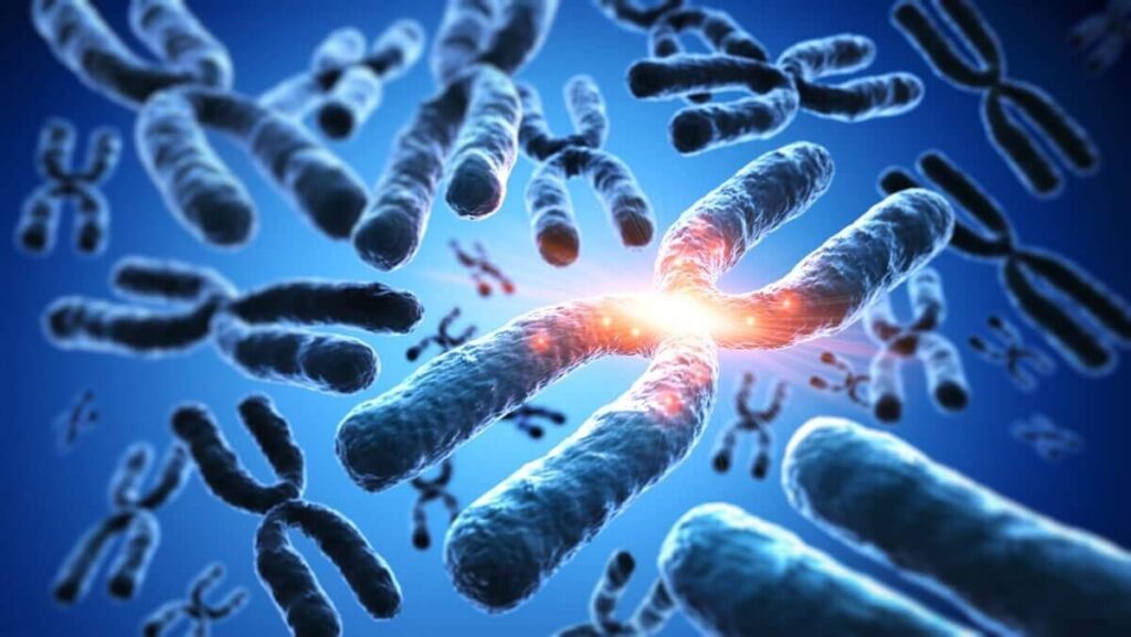 Ricerca. Il danno nel DNA e la capacità di ripararsi