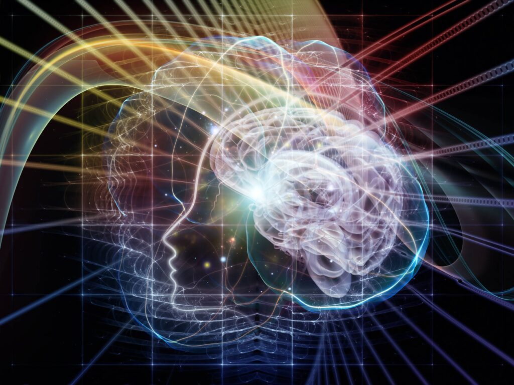 Arte e scienza. Al Maxxi di Roma il progetto di ricerca “la mente meditante”