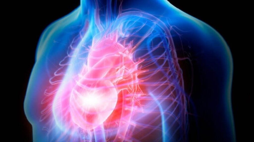 Università Padova. Miocardite, fondamentale la biopsia per una terapia mirata