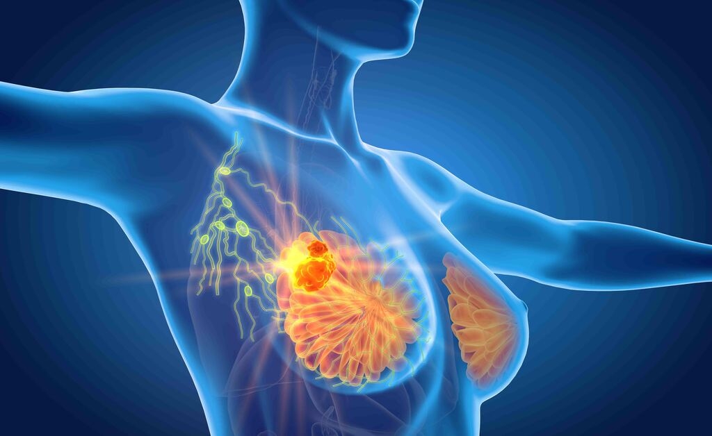 Policlinico Gemelli e Fondazione Ri.Med per sviluppare progetti di ricerca traslazionale