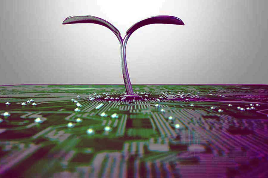 Ricerca. Fotosintesi artificiale per immagazzinare l’energia solare