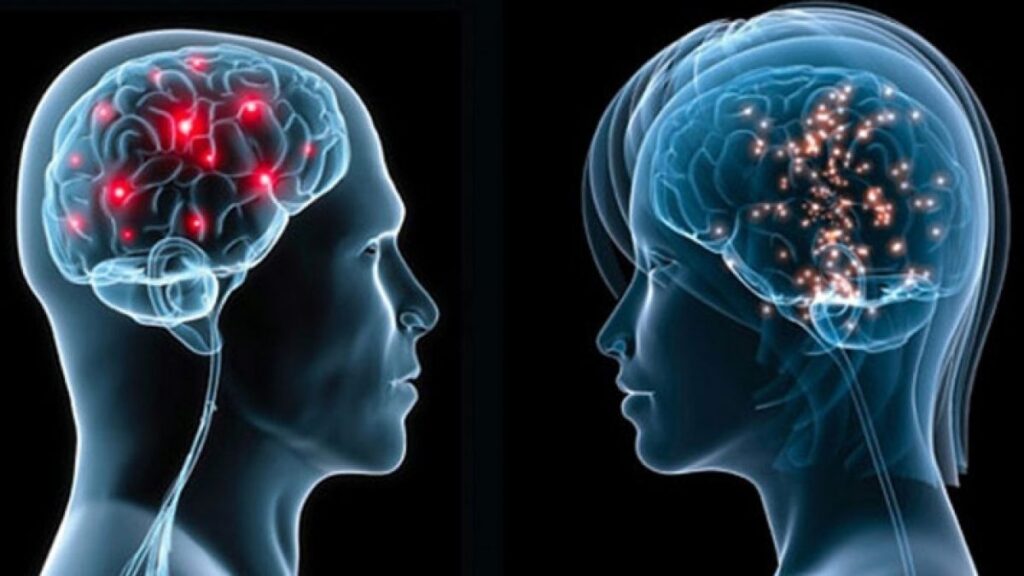Ricerca. Alzheimer e Parkinson potrebbero avere un’origine comune