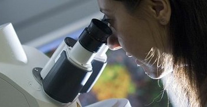 Università di Bologna. Aperte ancora per pochi giorni le iscrizioni al Master in materiali e prodotti polimerici per il biomedicale