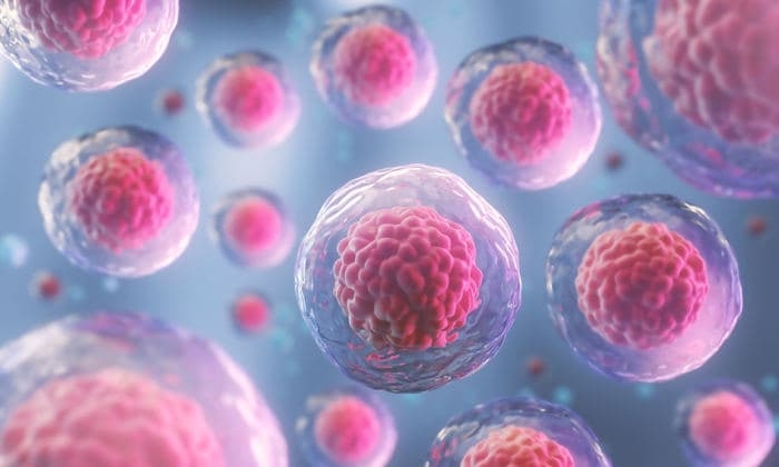 Ricerca. Cellule in 3D: dalla microscopia una tecnica innovativa