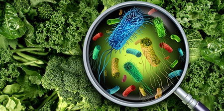 Ricerca. Sicurezza alimentare: una nuova ricetta per aumentare la “shelf life” della pasta fresca